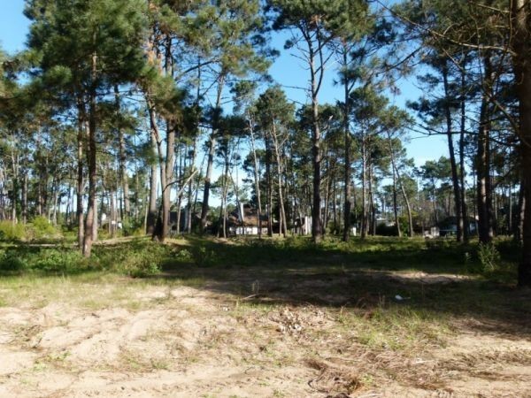 Excelentes terrenos de 1.000 m2 en Parque Burnett con buena financiación